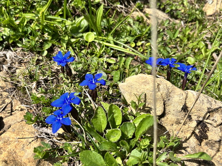 23-05-26 13-37-18 5705